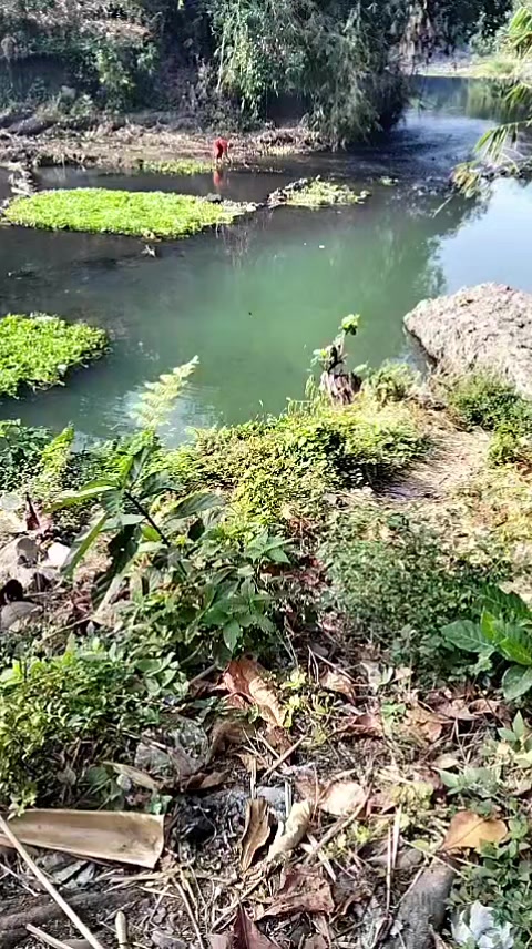 @Gasle Fishing