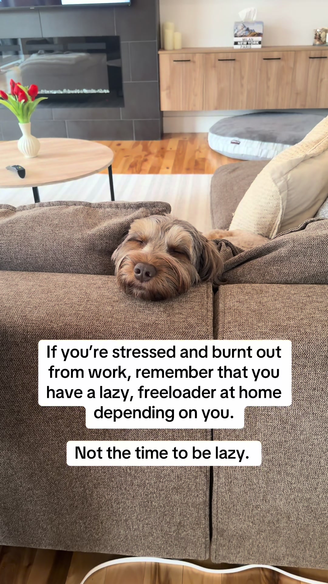 @Dogs Made Simple