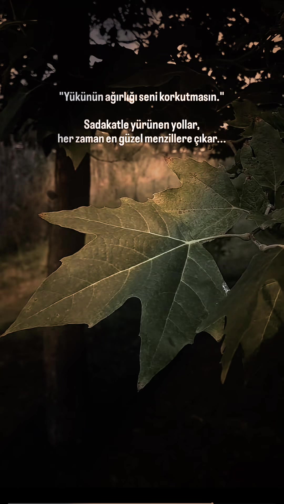@🥀🥀Yağmur yürekli 💔💔