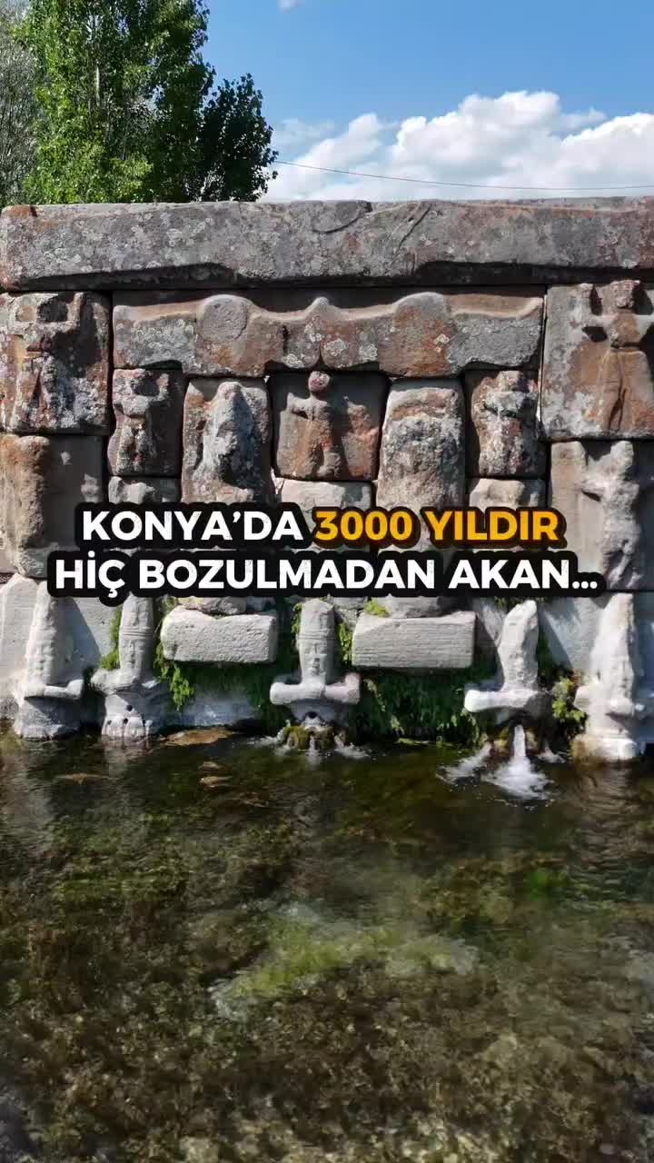 @Özen Ce