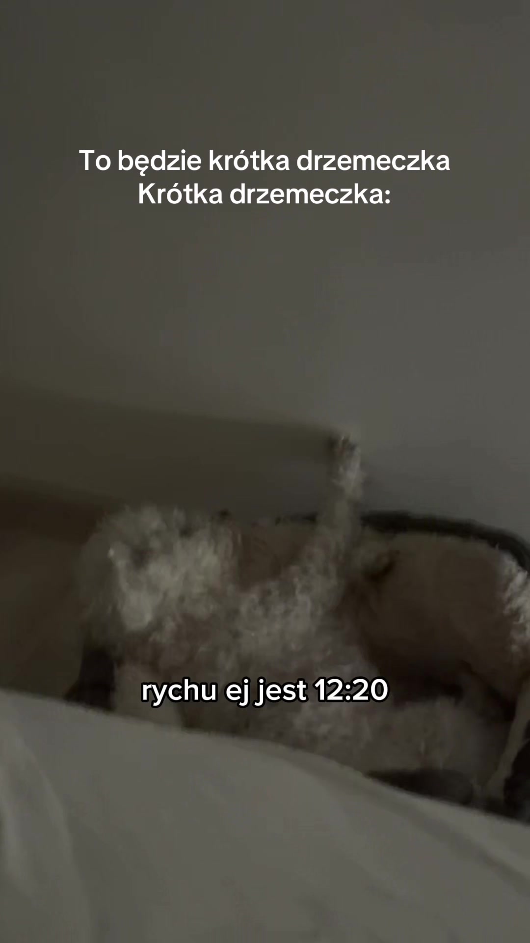 @O_oezu