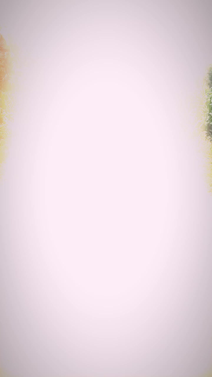 @꧁𓊈𒆜𝕊iyⱥ₥, ,𝘏όѕɇ𝒏𒆜𓊉꧂
