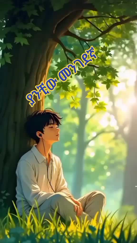 @kibrom k
