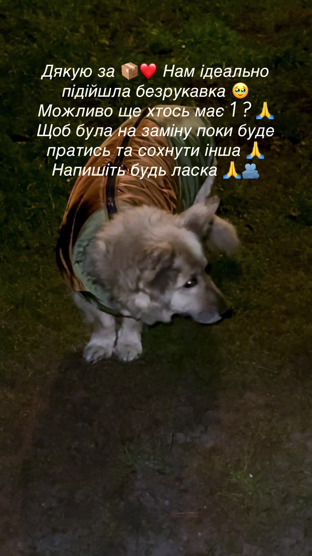 @tanya.help.animal