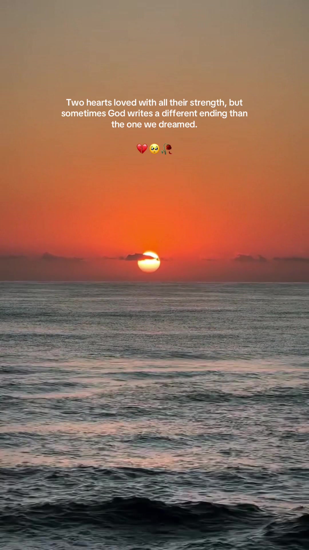@JM.Janice Aan