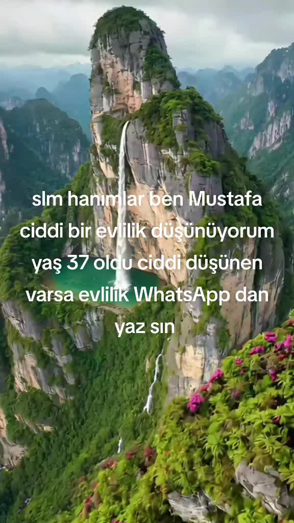 @Mustafa