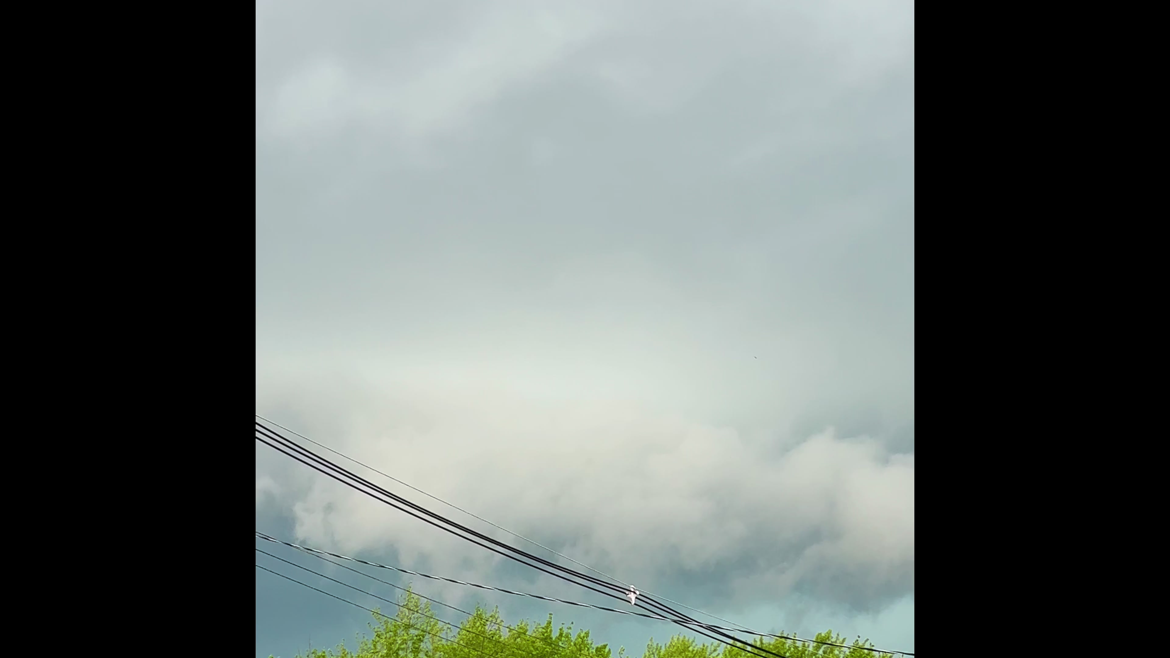 @❌Chriss Lyon❌