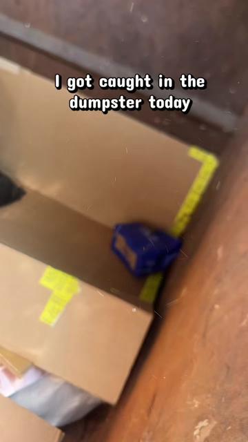 @DumpsterDivingGoddess