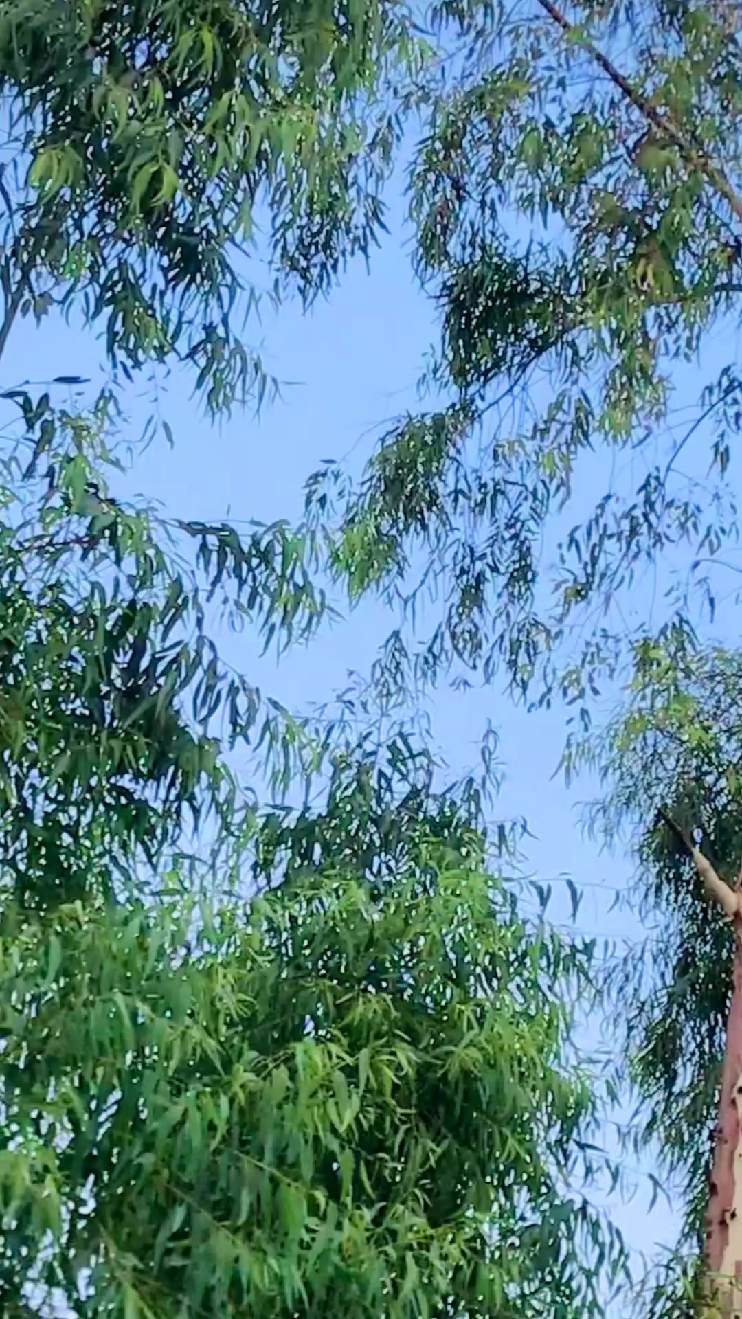 @💙تور عمر جان 💙