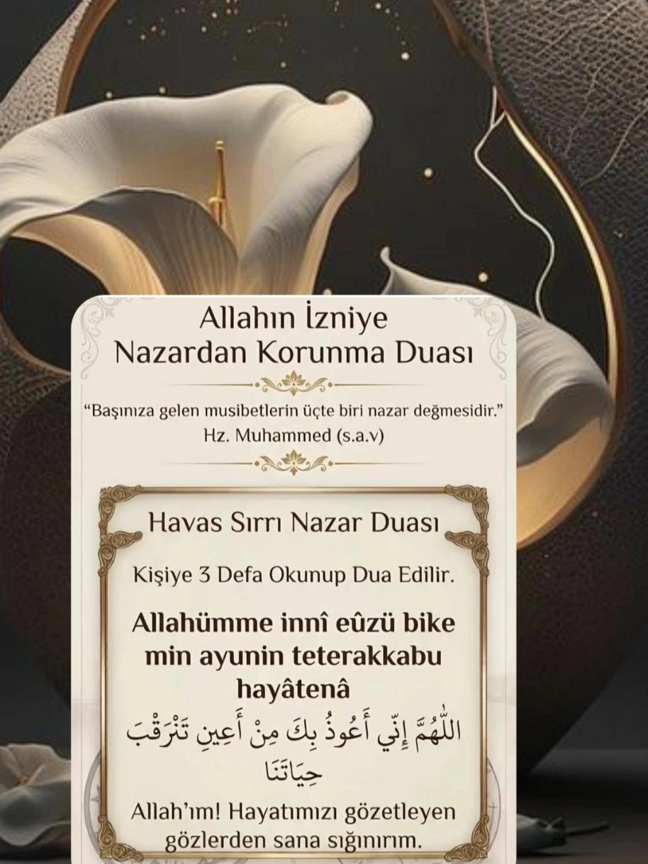 @hayat nereye gidiyor