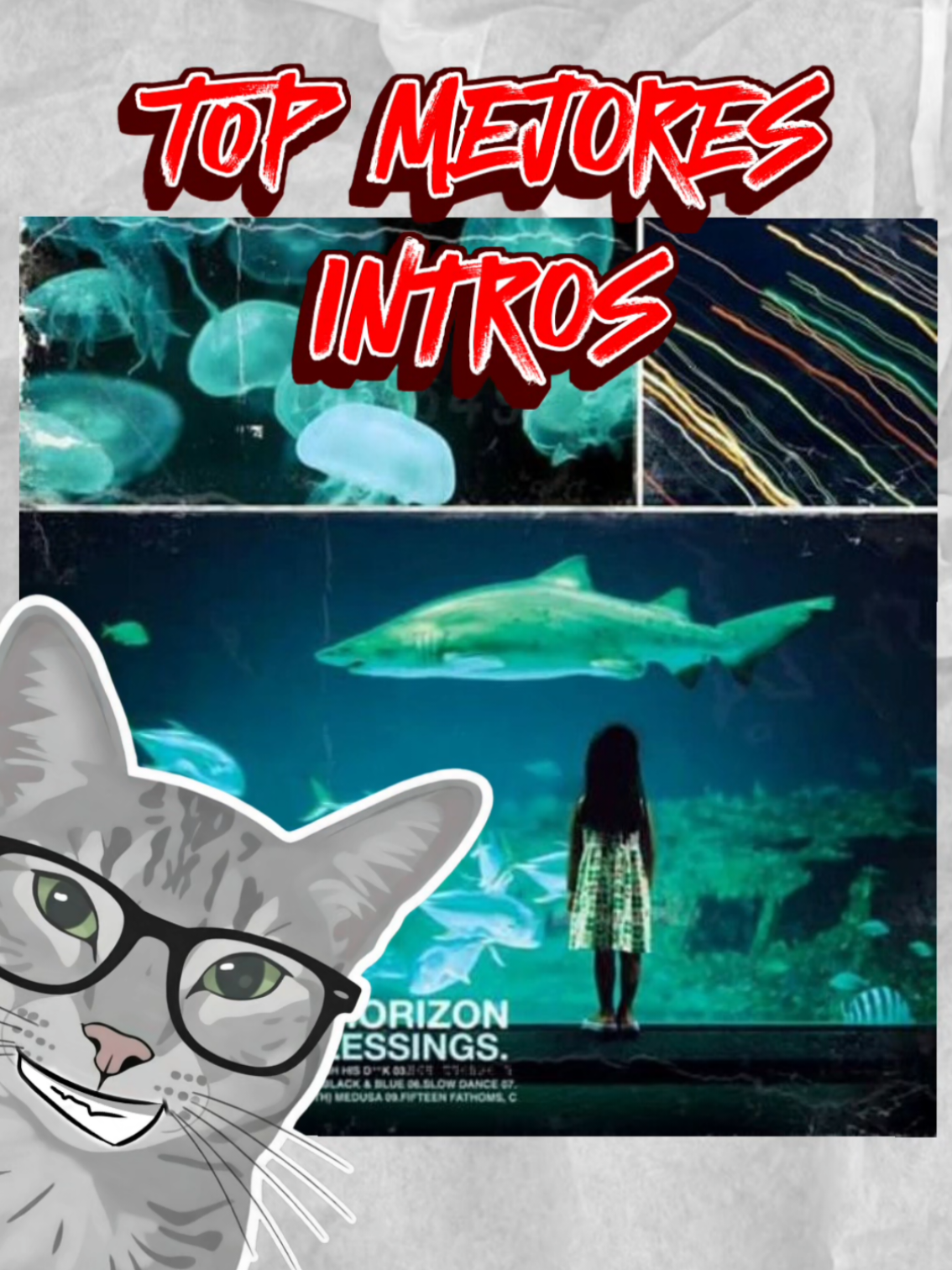 @UN GATO WEY