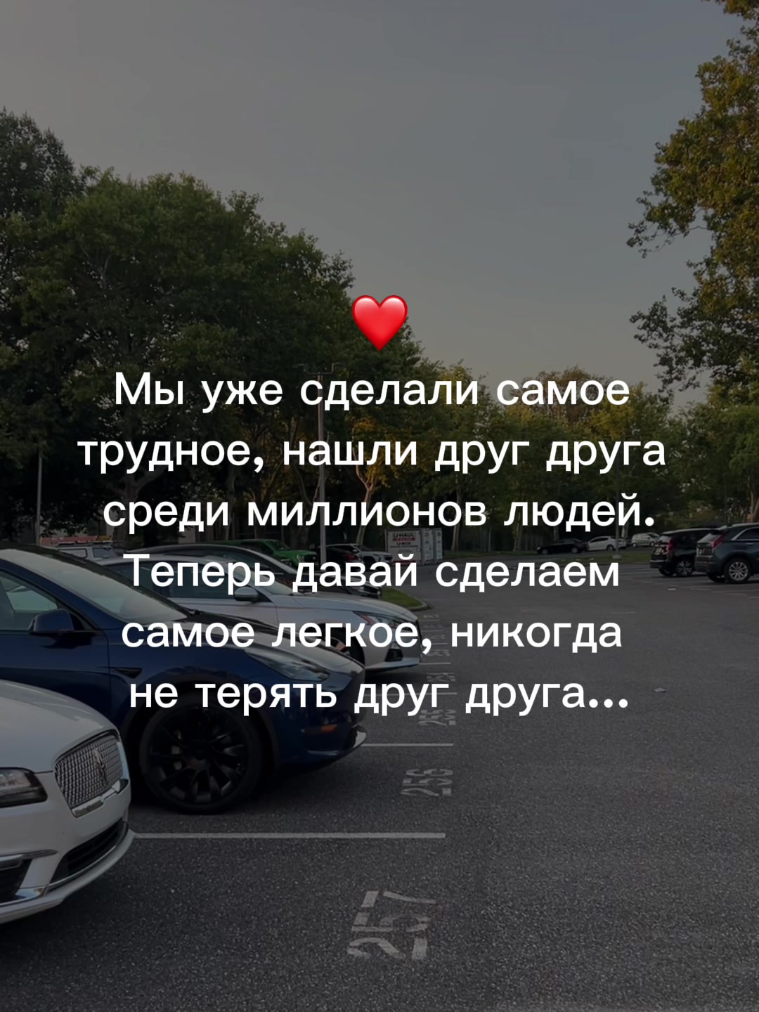 @muzdogz