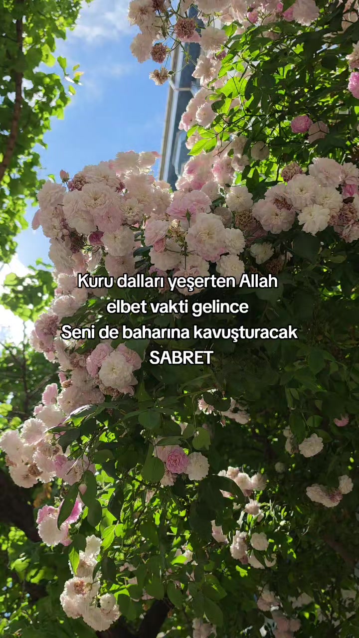 @MEKKE MEDİNE AŞIĞI