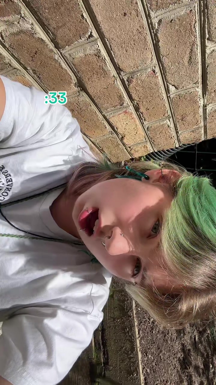@&deg;‧ 𓆝 𓆟 𓆞 &middot;。