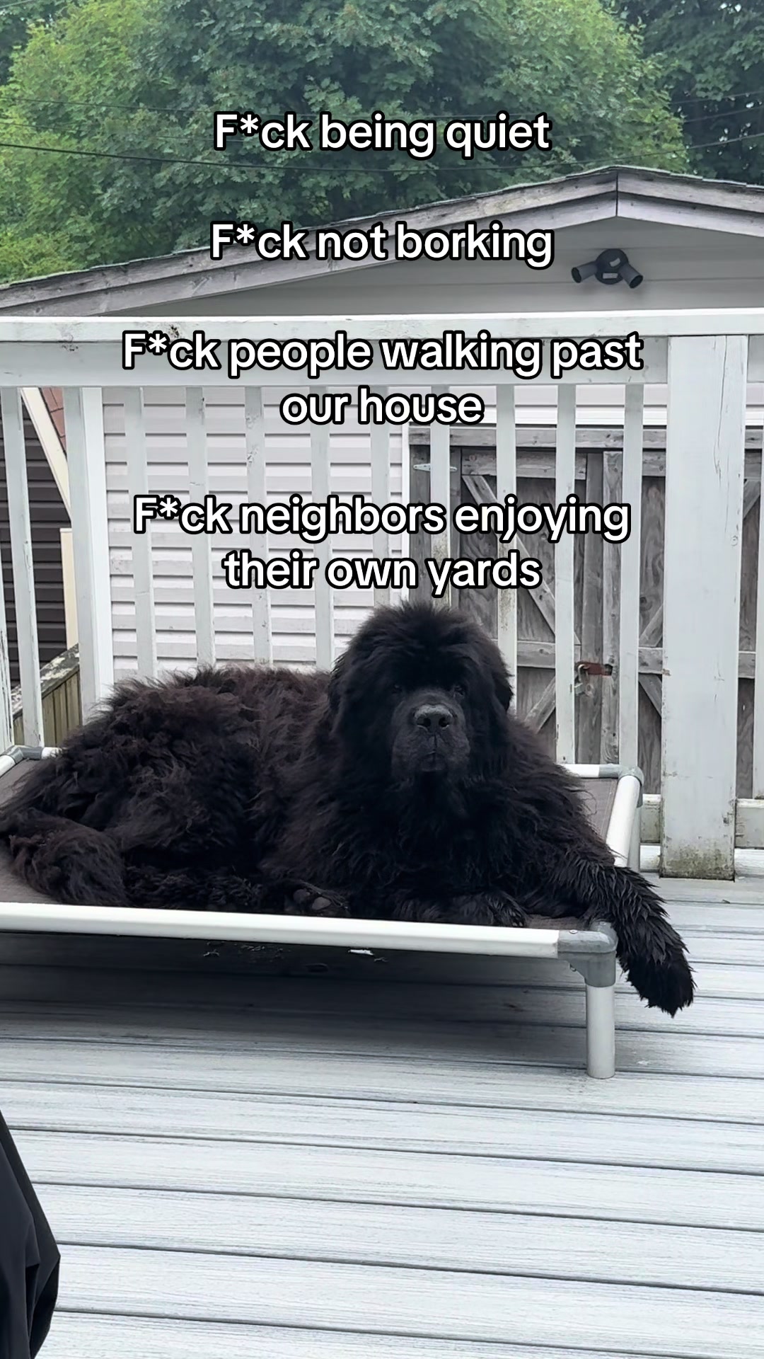 @HomertheNewf 🇨🇦