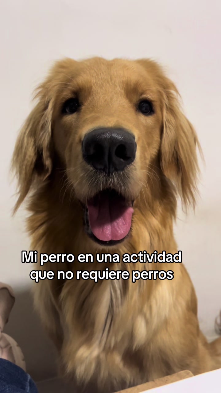 @Mila 🐶