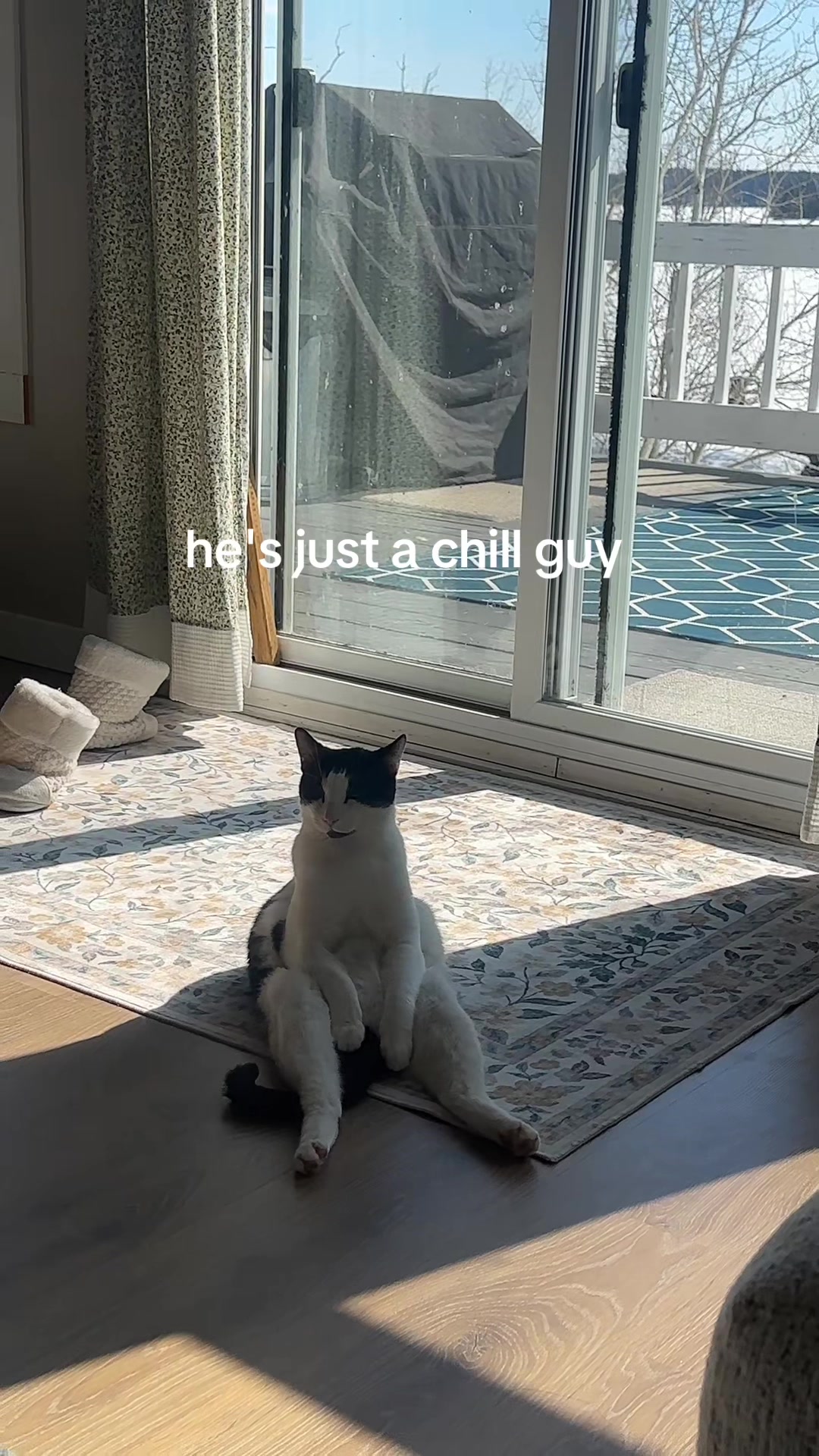 @pickmegirlforseokjin