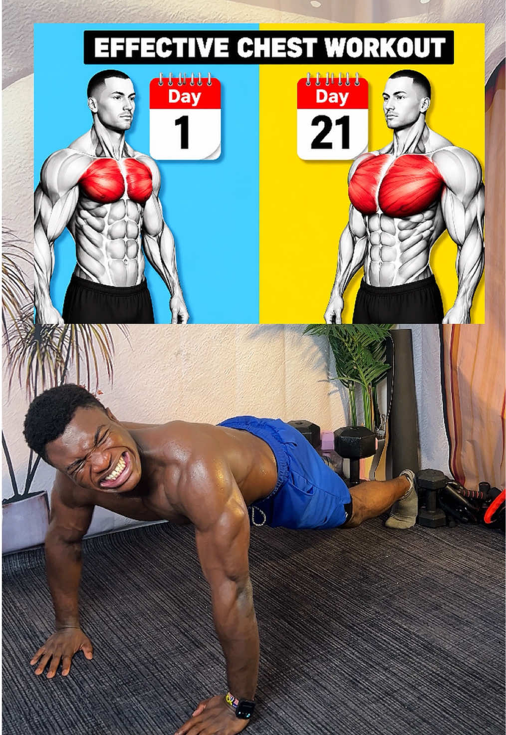 @FITNESS BEASTTRA
