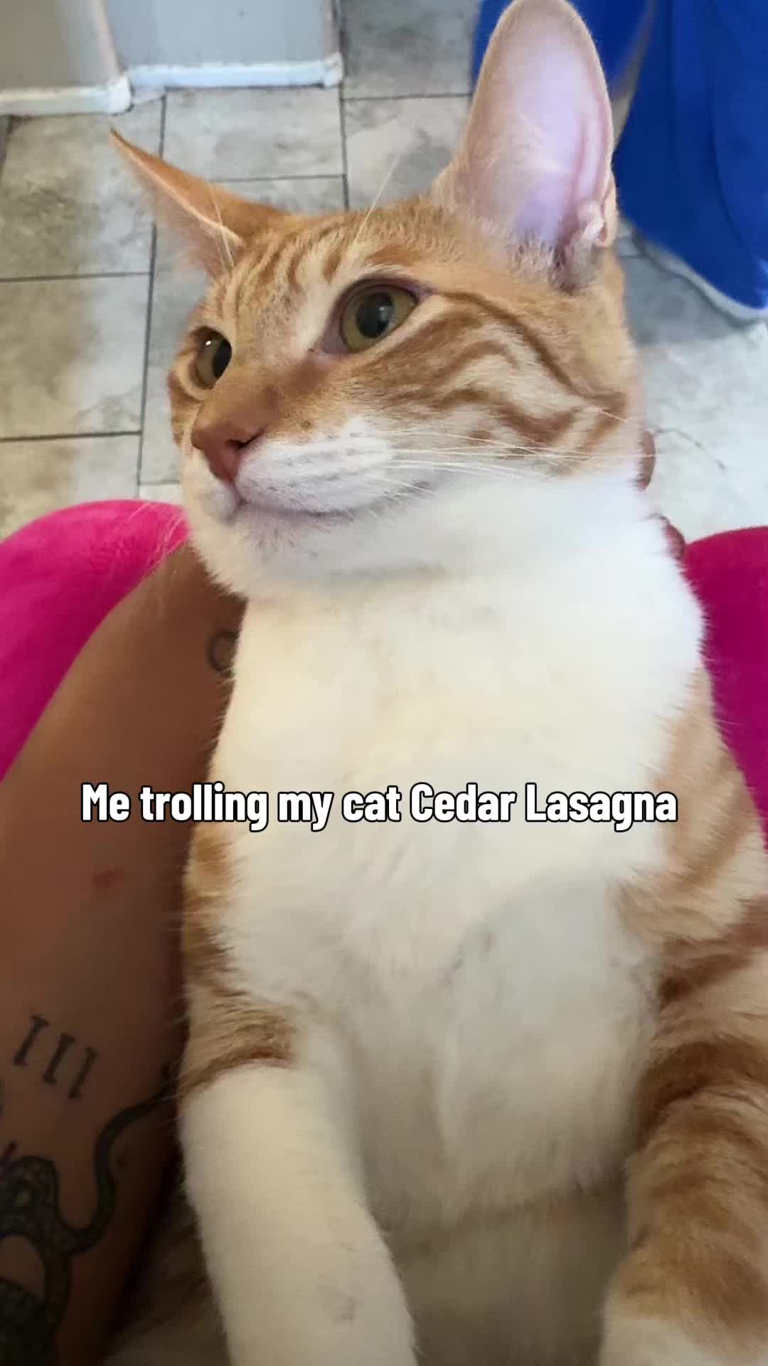 @TheBlackCuldron