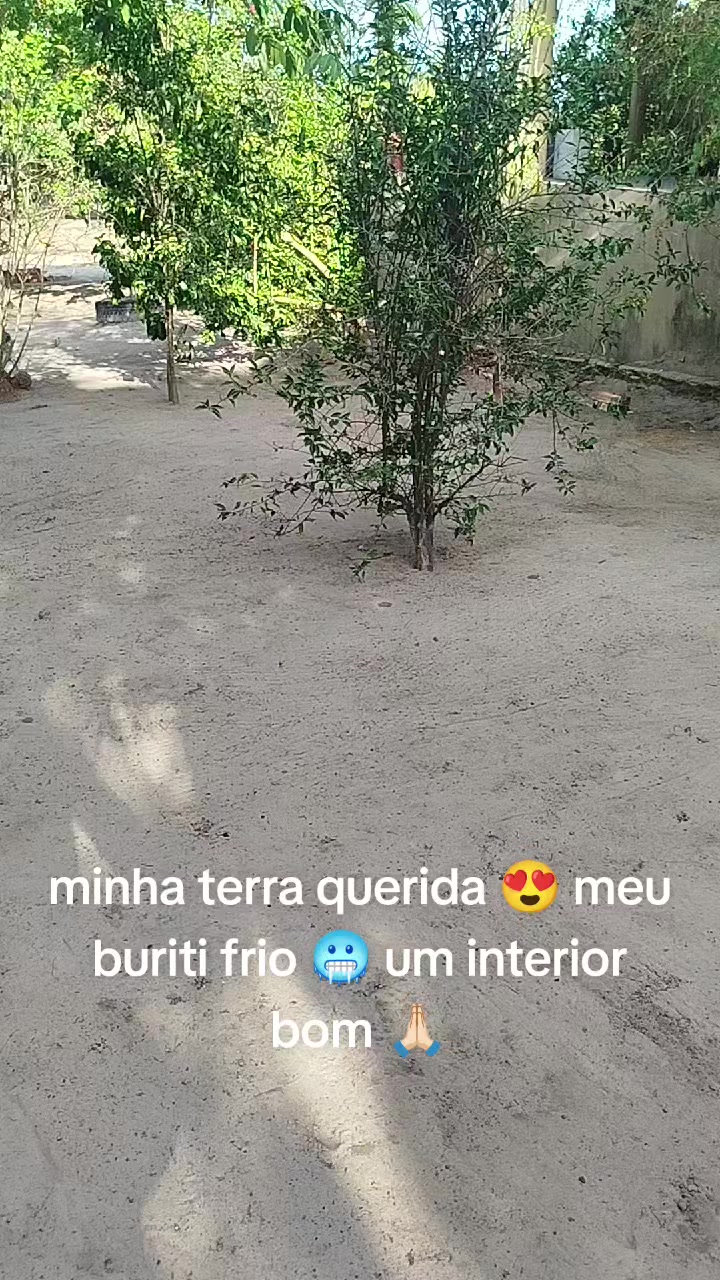 @Rosa De Sá