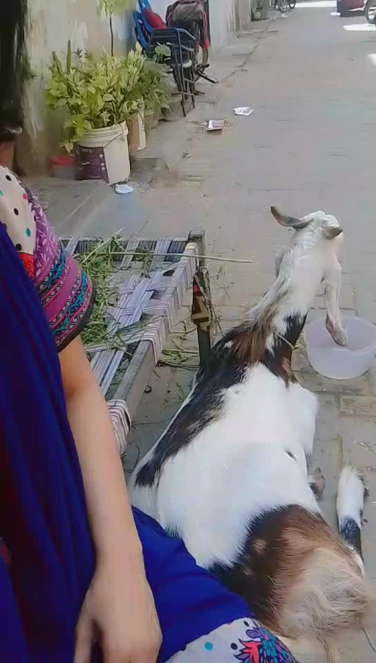 @Mahi zaam
