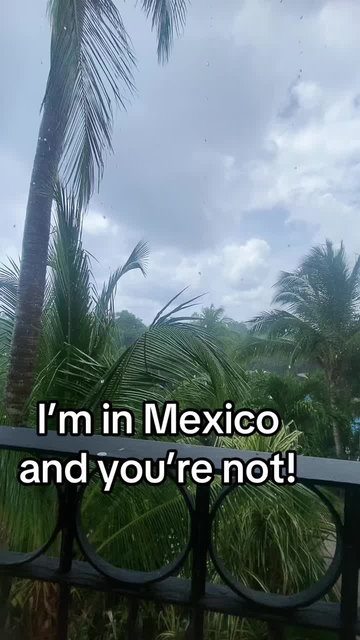 @NoNos