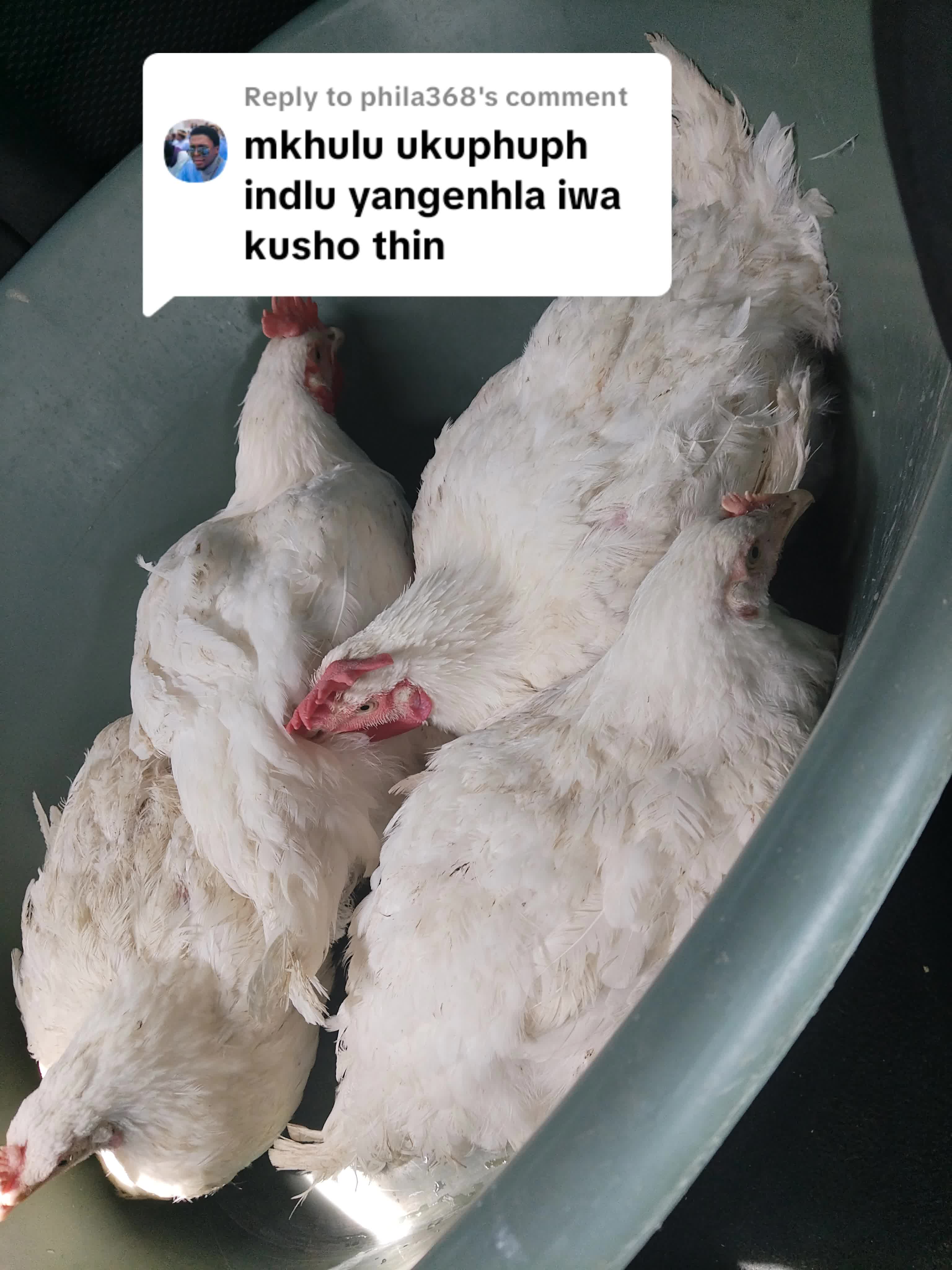 @Bheki Nkosi