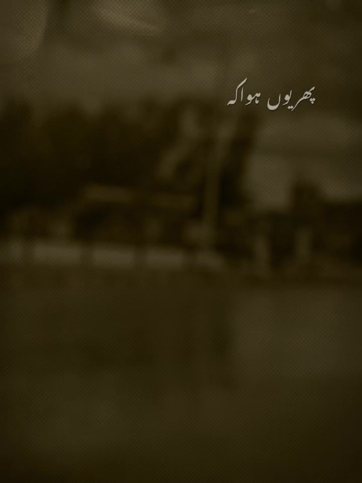 @arshia chaudhary