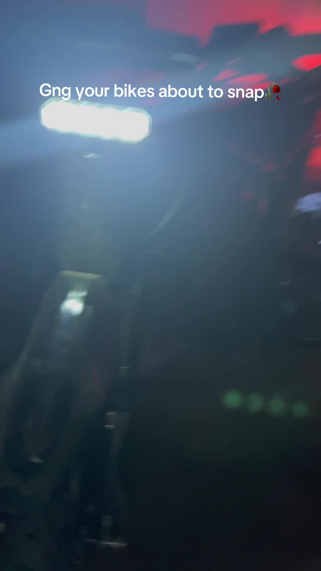 @Nova Nic🌴☀️