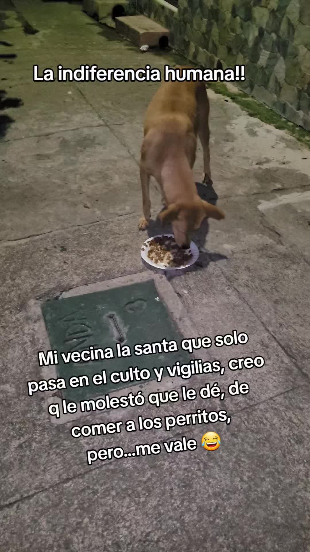@𝕃𝕚𝕤𝕤 ℝ𝕖yes🇸🇻