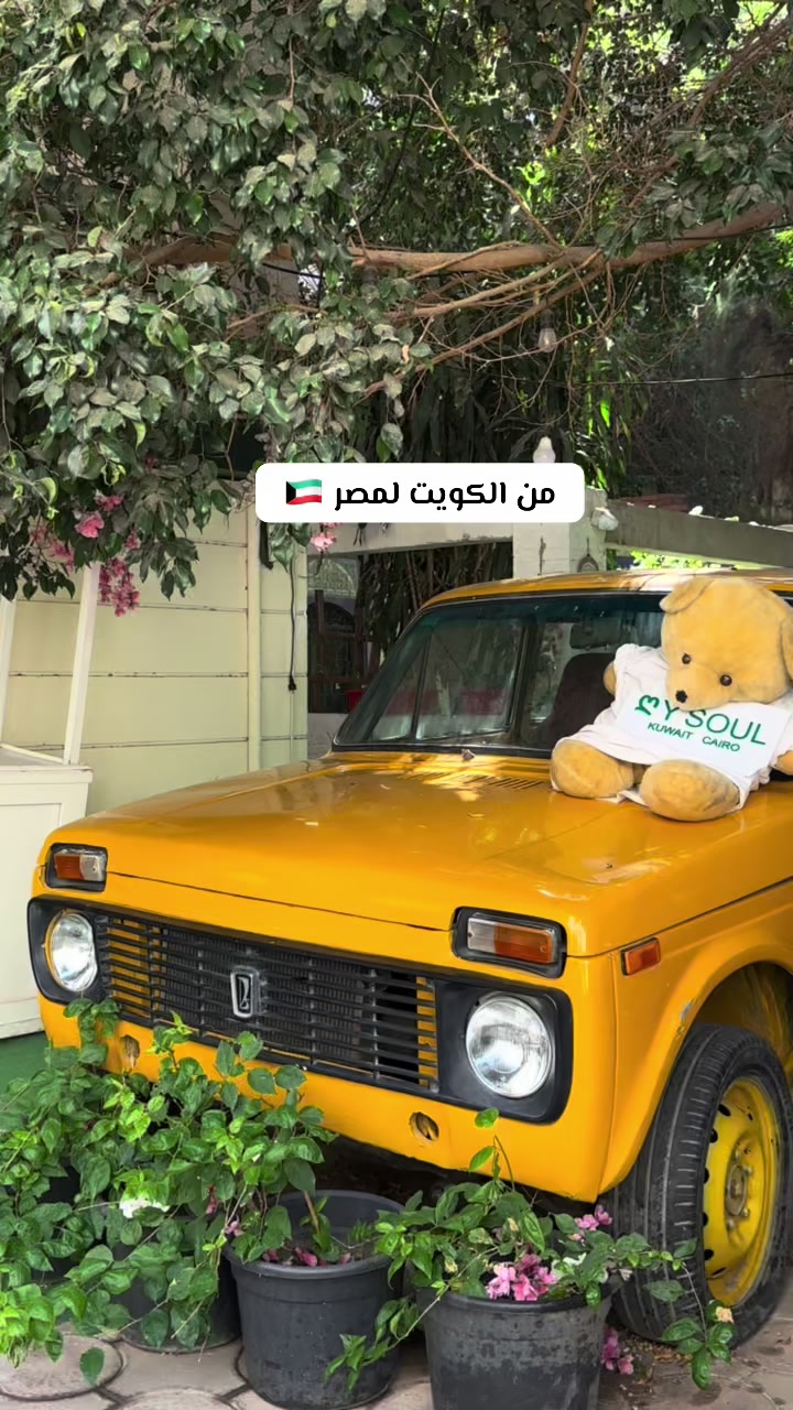 @Khulud alsawaid🕵🏻♀️🔖