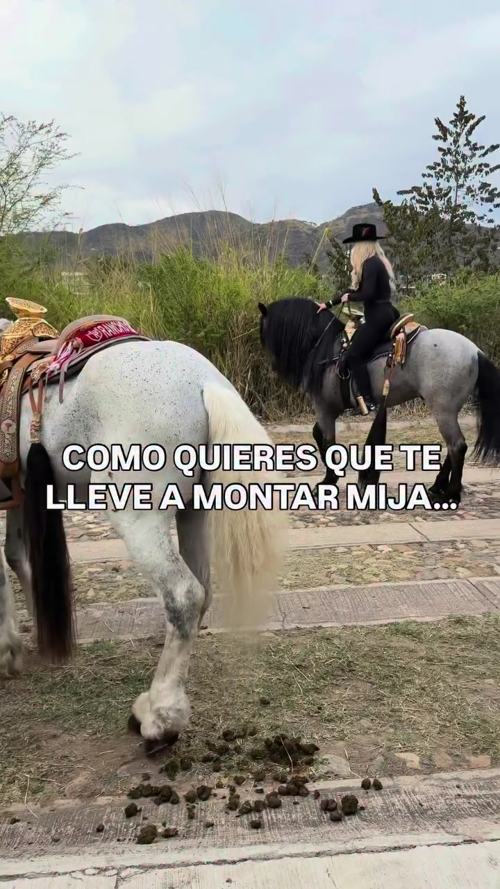 @PMGA