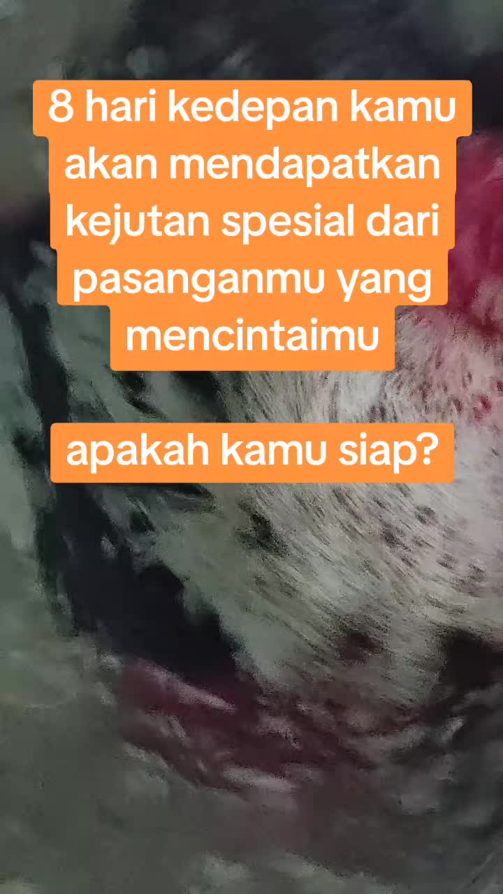 @Mega Widya