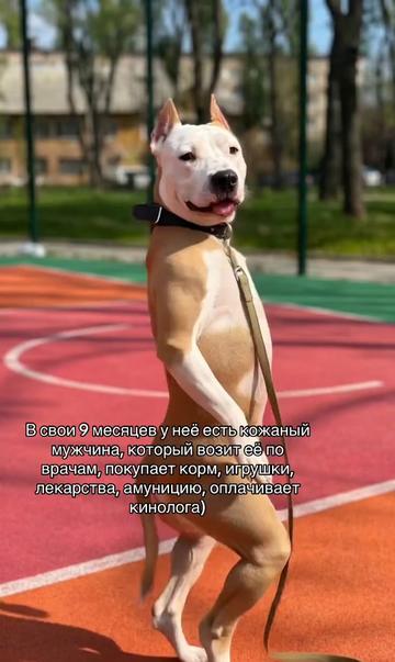 @🦋ТГК:PitoStaff_Milfa🦋