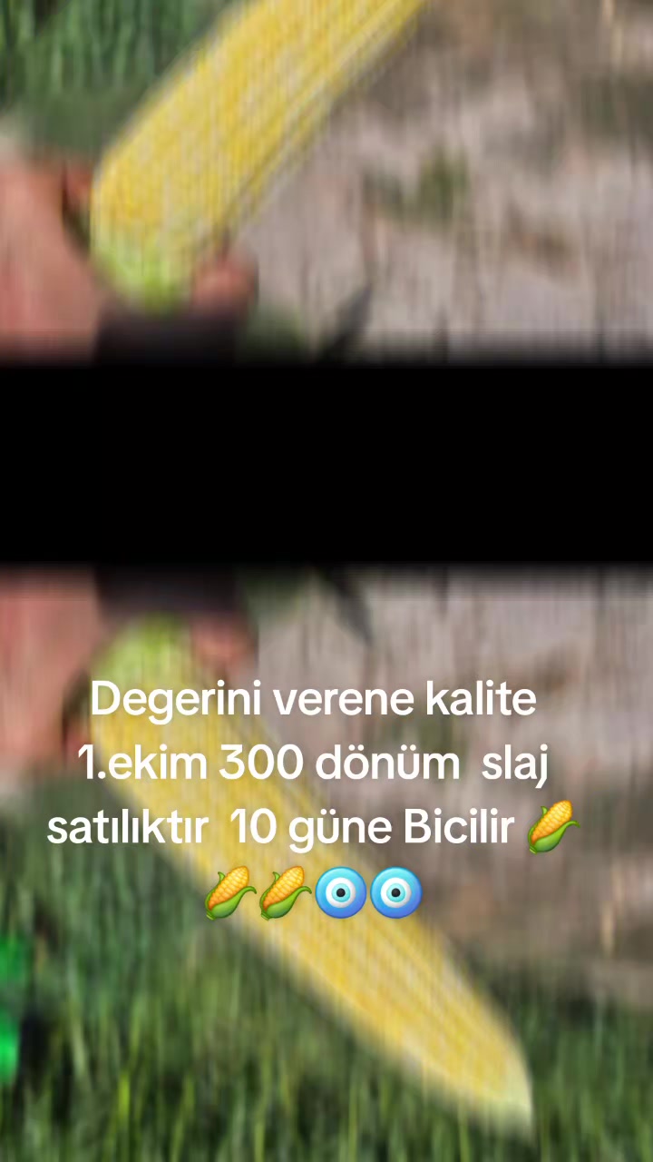 @Eray Kahraman51