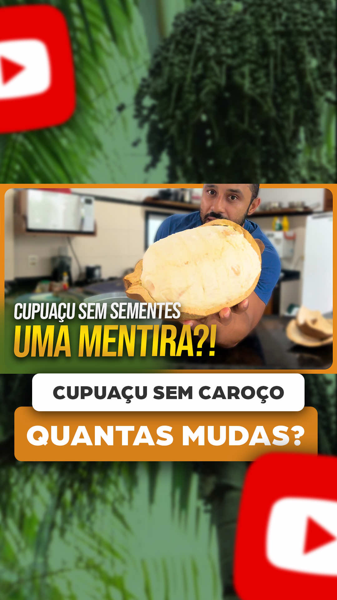 @ViveiroProMudas