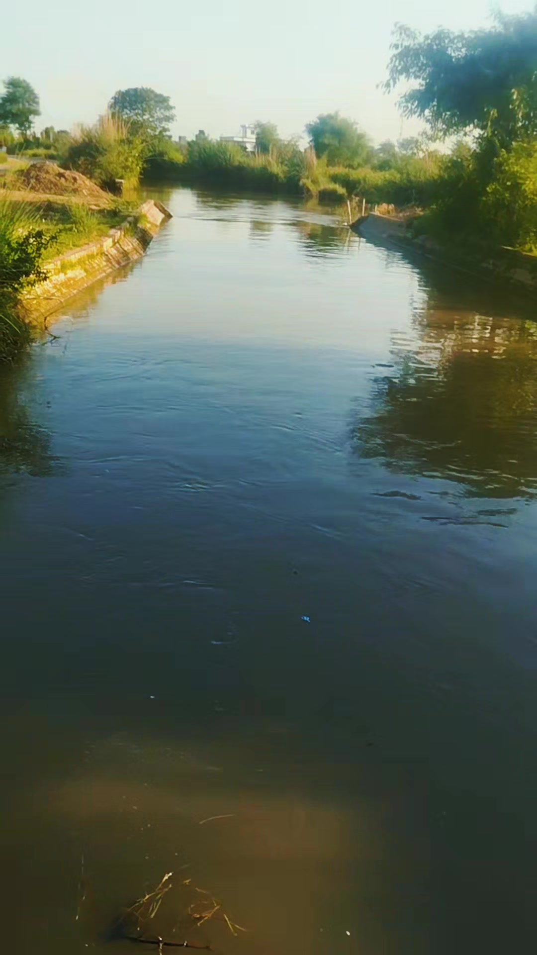 @𝙉𝘼𝙕𝙊𝙊✨