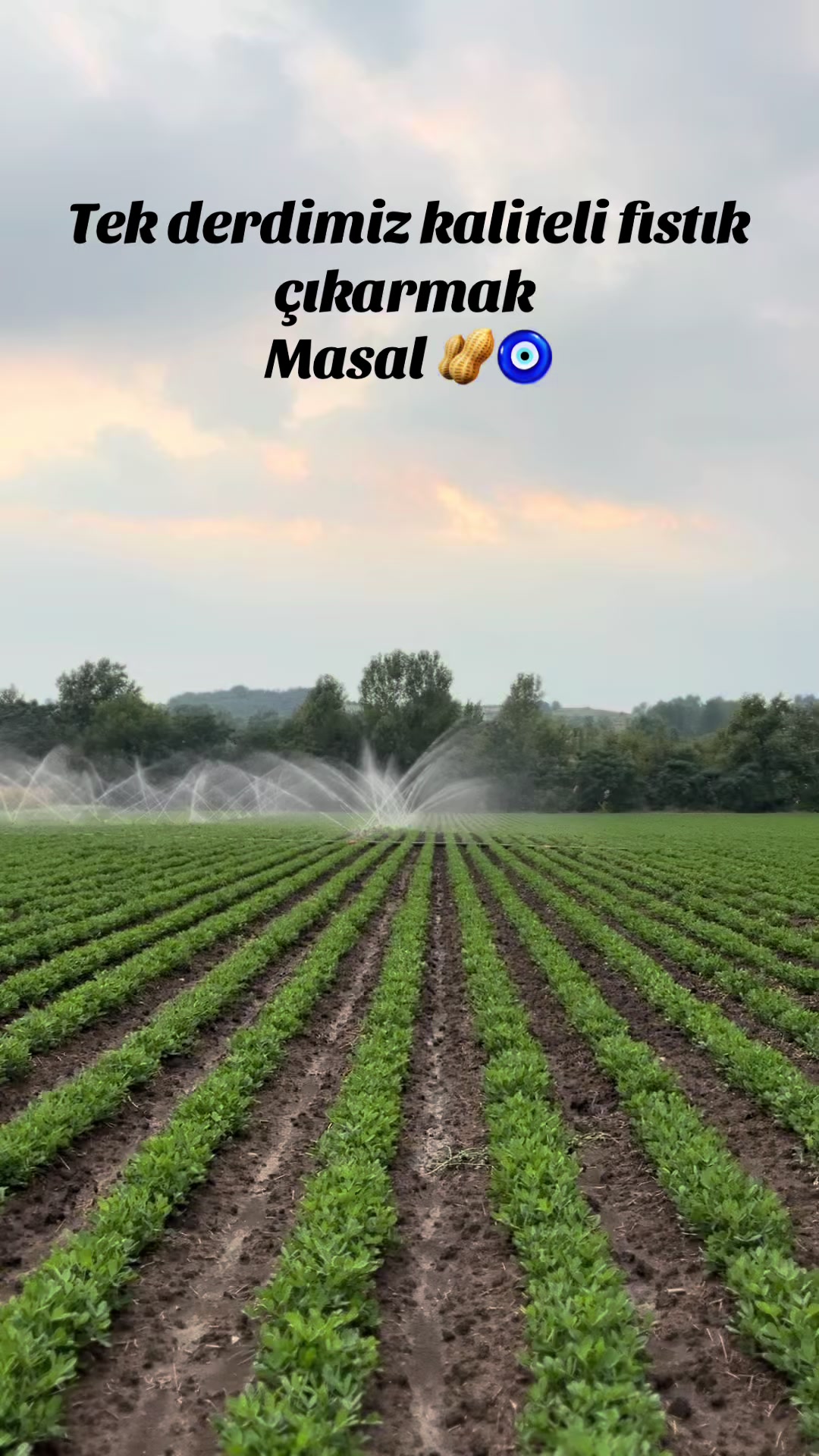 @Ali Osman ÇAL