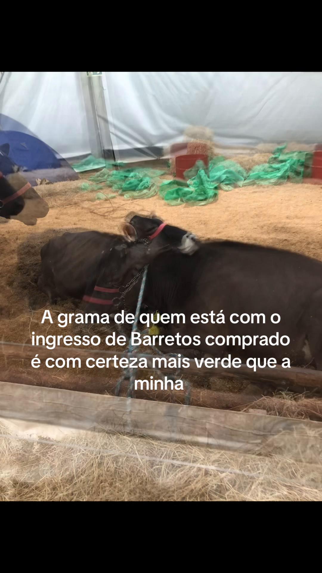 @โโฏ๐๐๐_๐