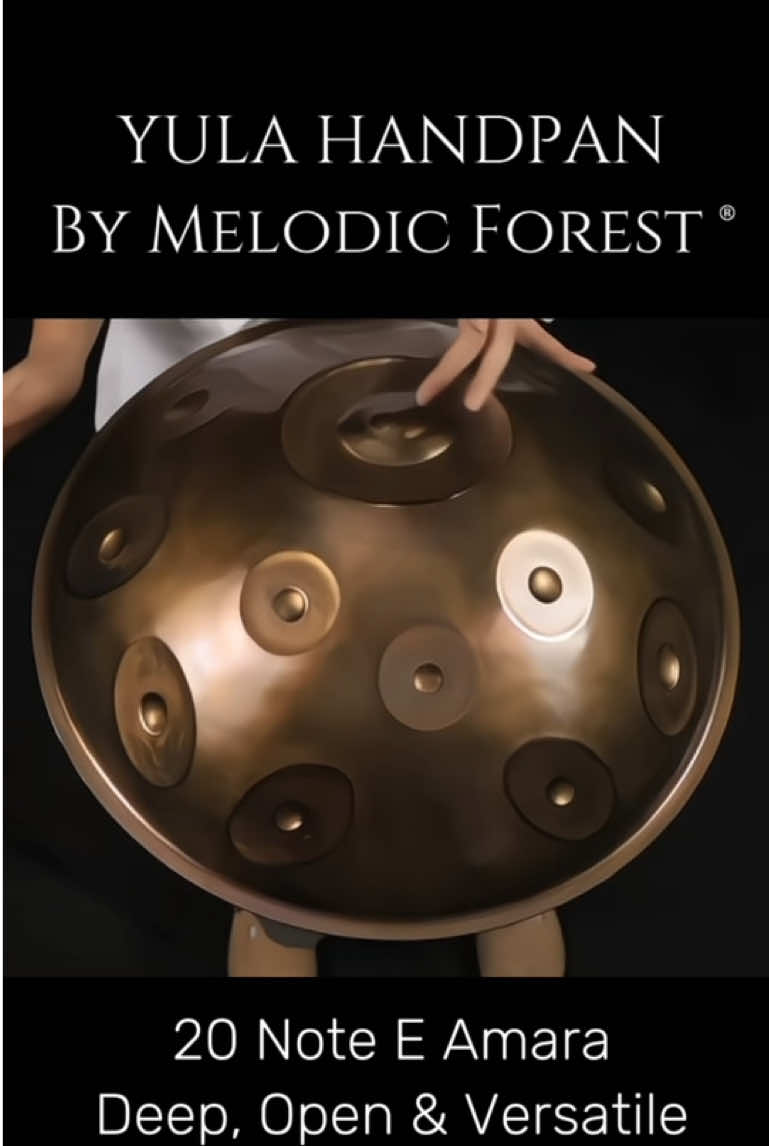 @Melodic Forest