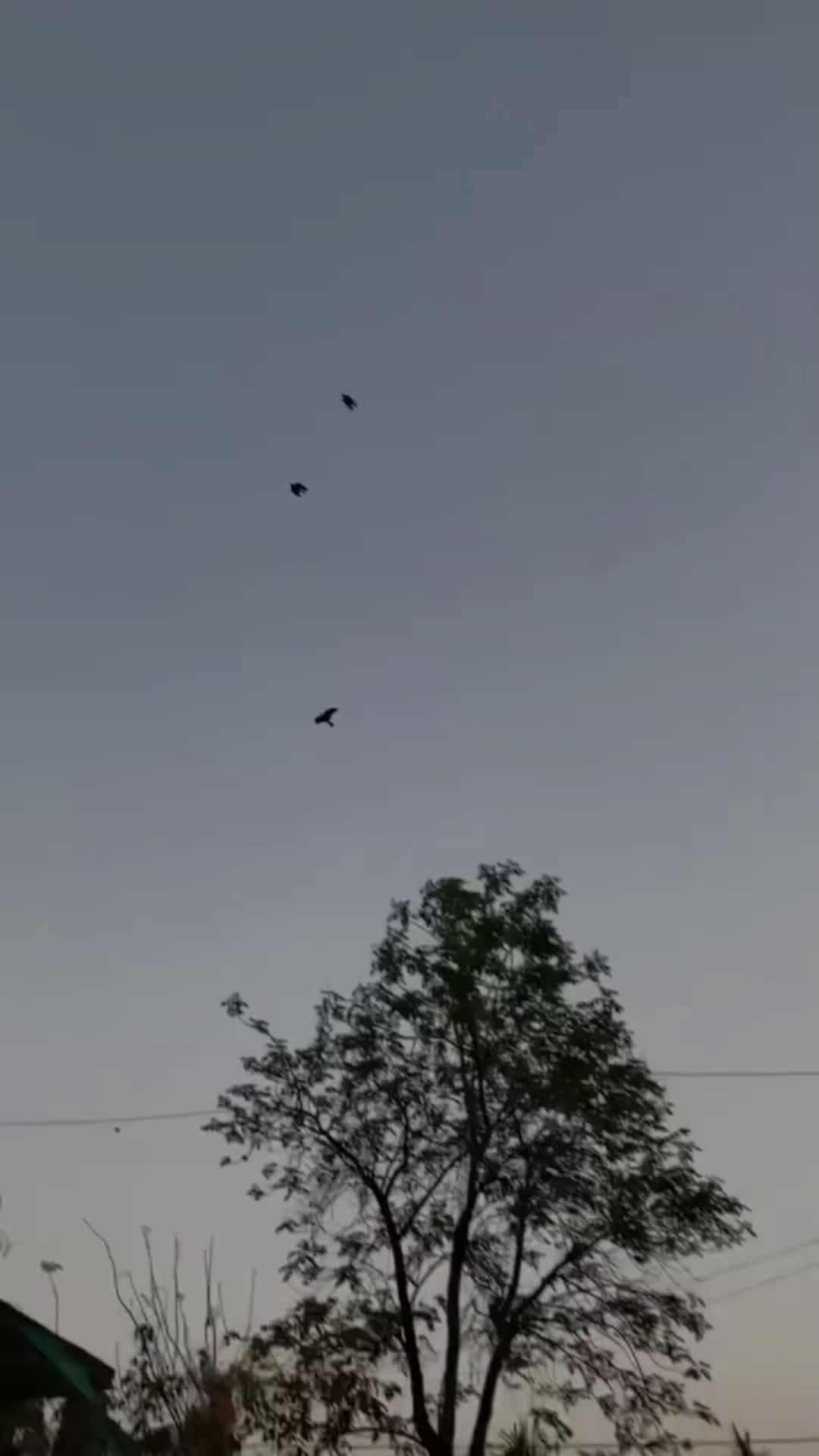 @ƇʜᴏᴄᴏɭΛ†ƴ Ᏸᴏƴ