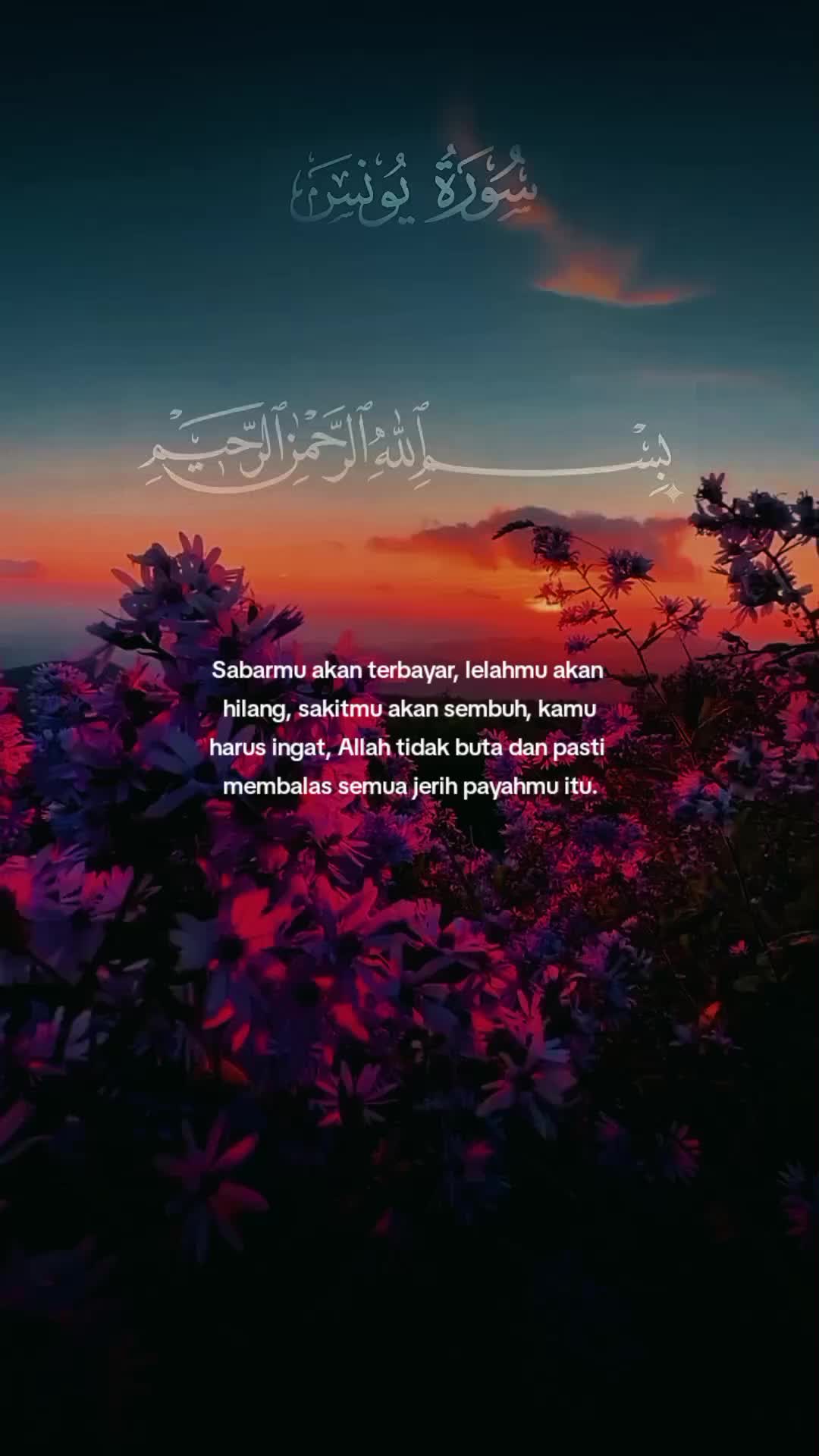 @M. Atta