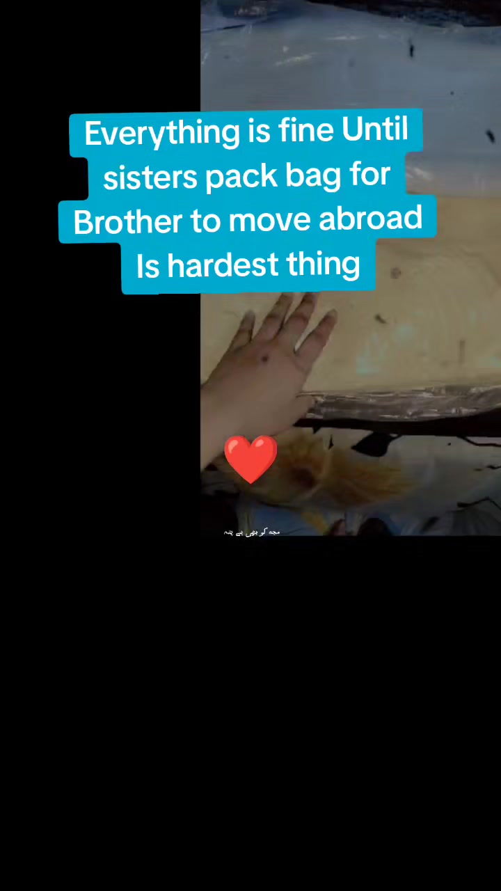 @شیزا ناظم