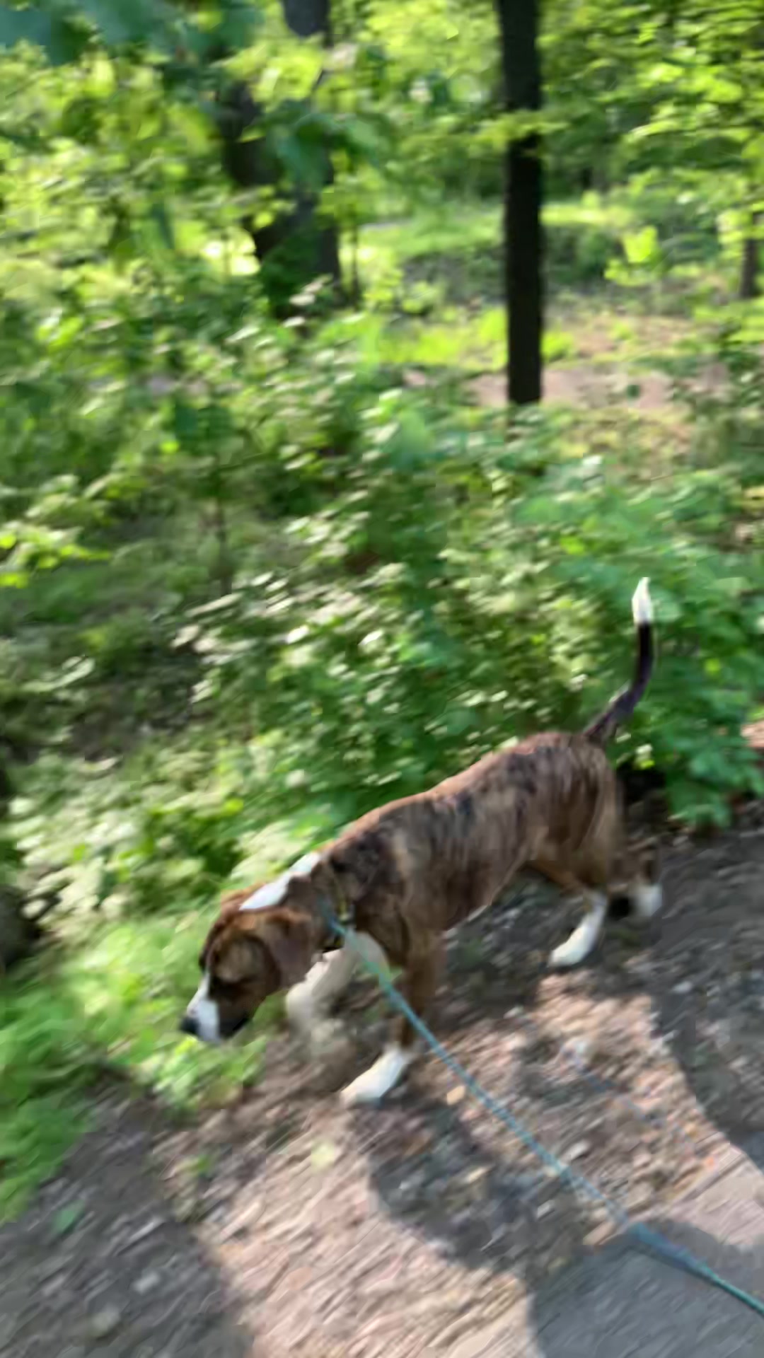 @Hikingwithstanley