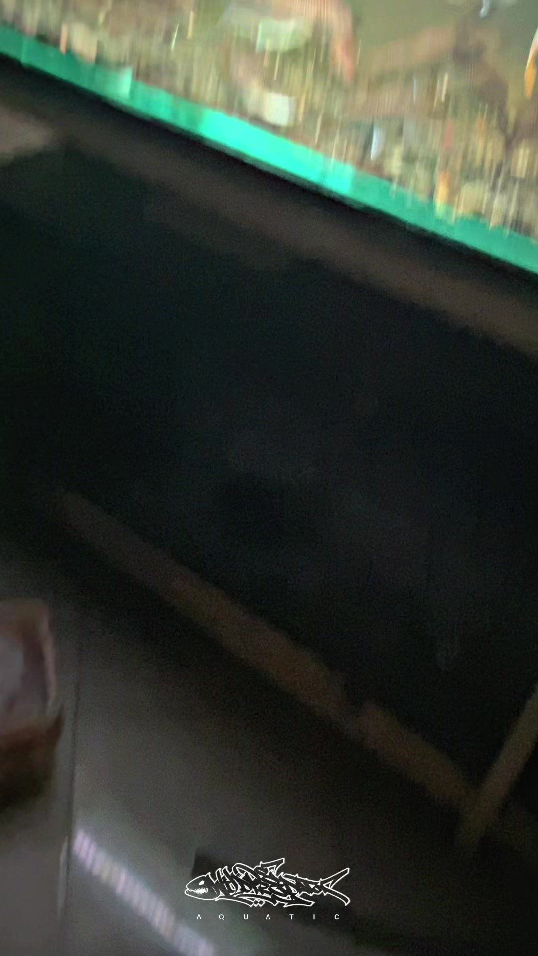 @Wild Predator Aquatic