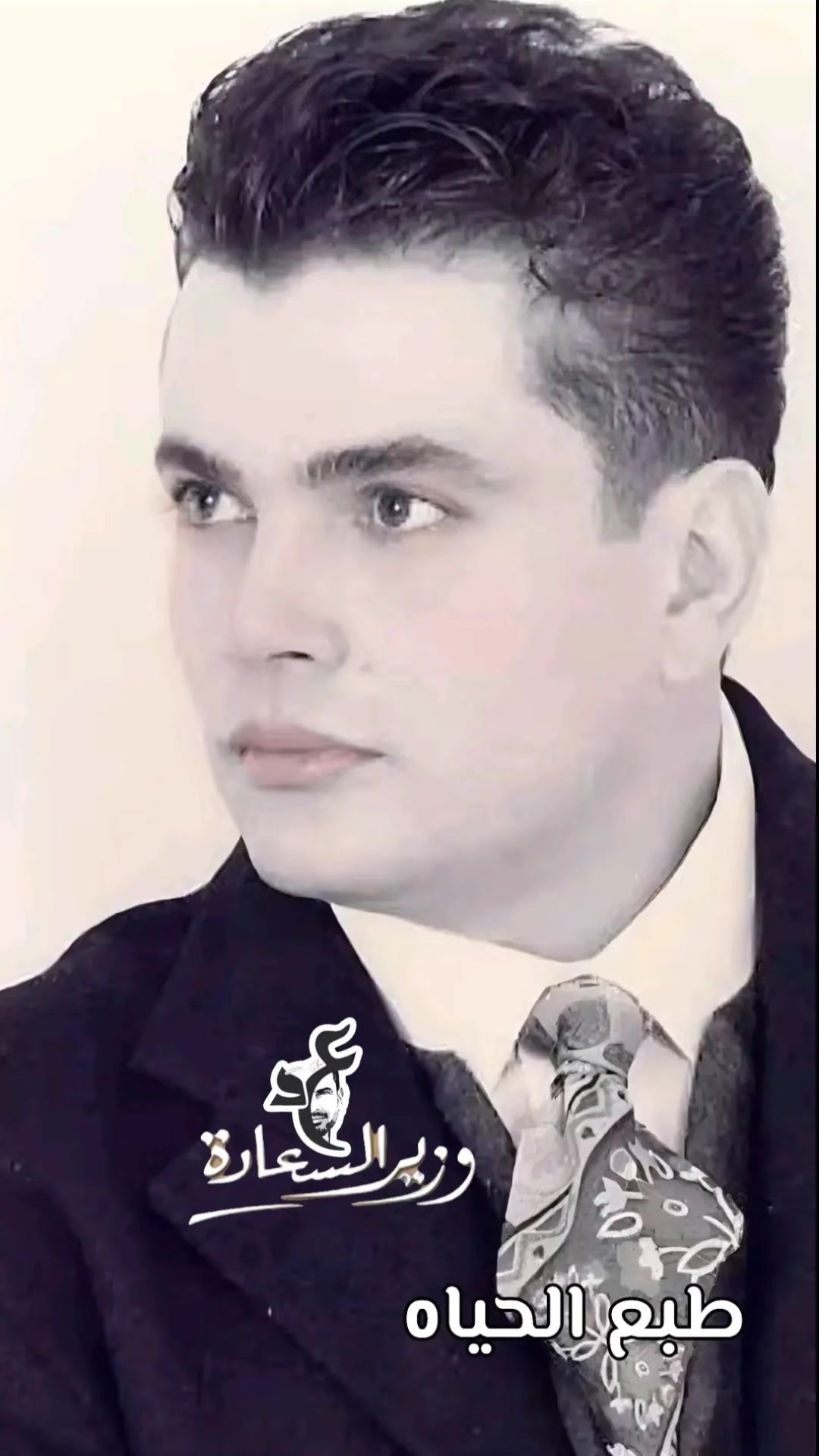 @وزير_السعادة _الهضبه