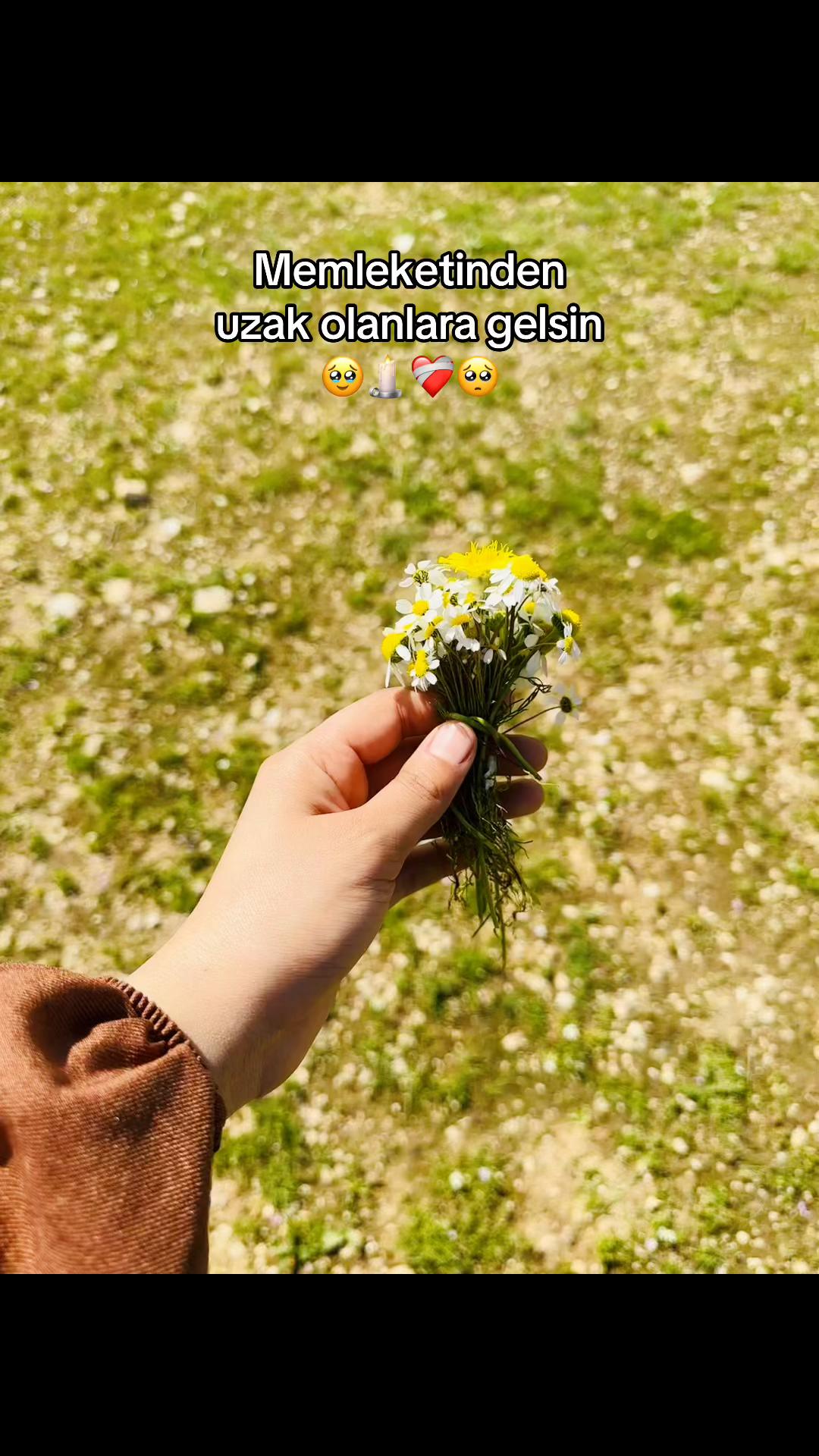 @𝒞𝒶𝓃𝑒𝑒 ❤️&zwj;🔥👑