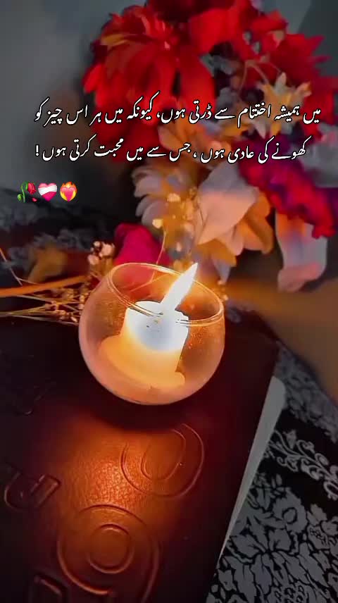 @زلیخہ🌸🦋
