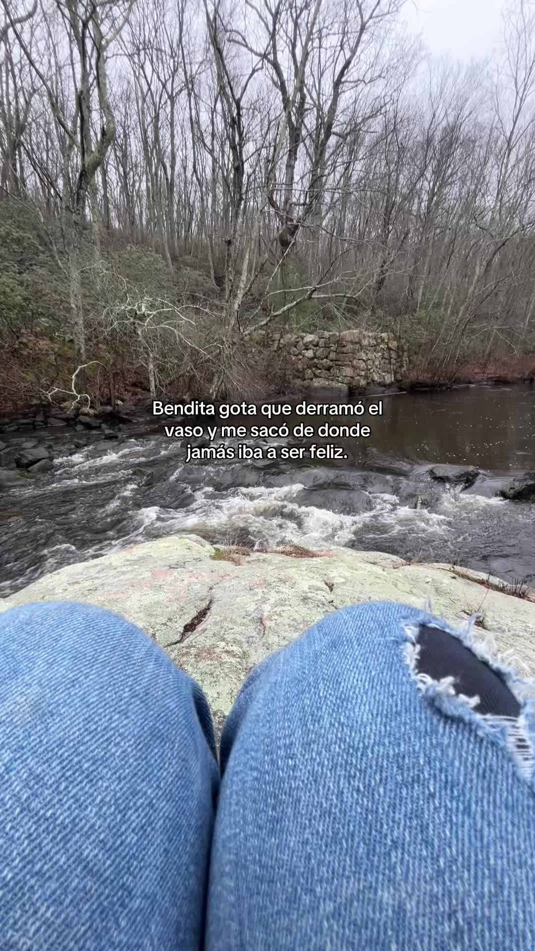 @A🕷️