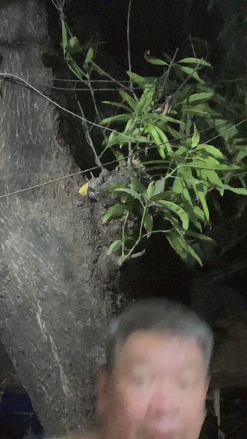 @TatayChingkeet D' Pugeh